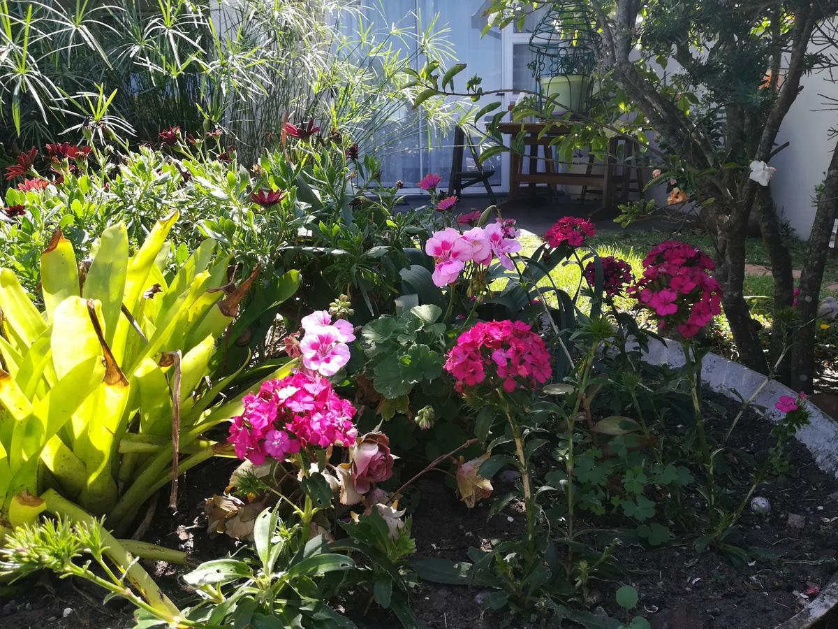 The Coelacanth Guest House And Beach Thyme Self Catering Kiddʼs Beach Dış mekan fotoğraf