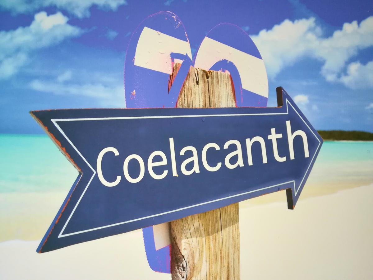 The Coelacanth Guest House And Beach Thyme Self Catering Kiddʼs Beach Dış mekan fotoğraf